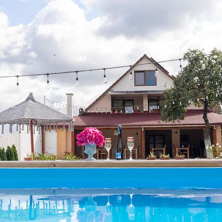 Готель Vila Crisalia Sibiel -Sibiu (Adults Only) Екстер'єр фото