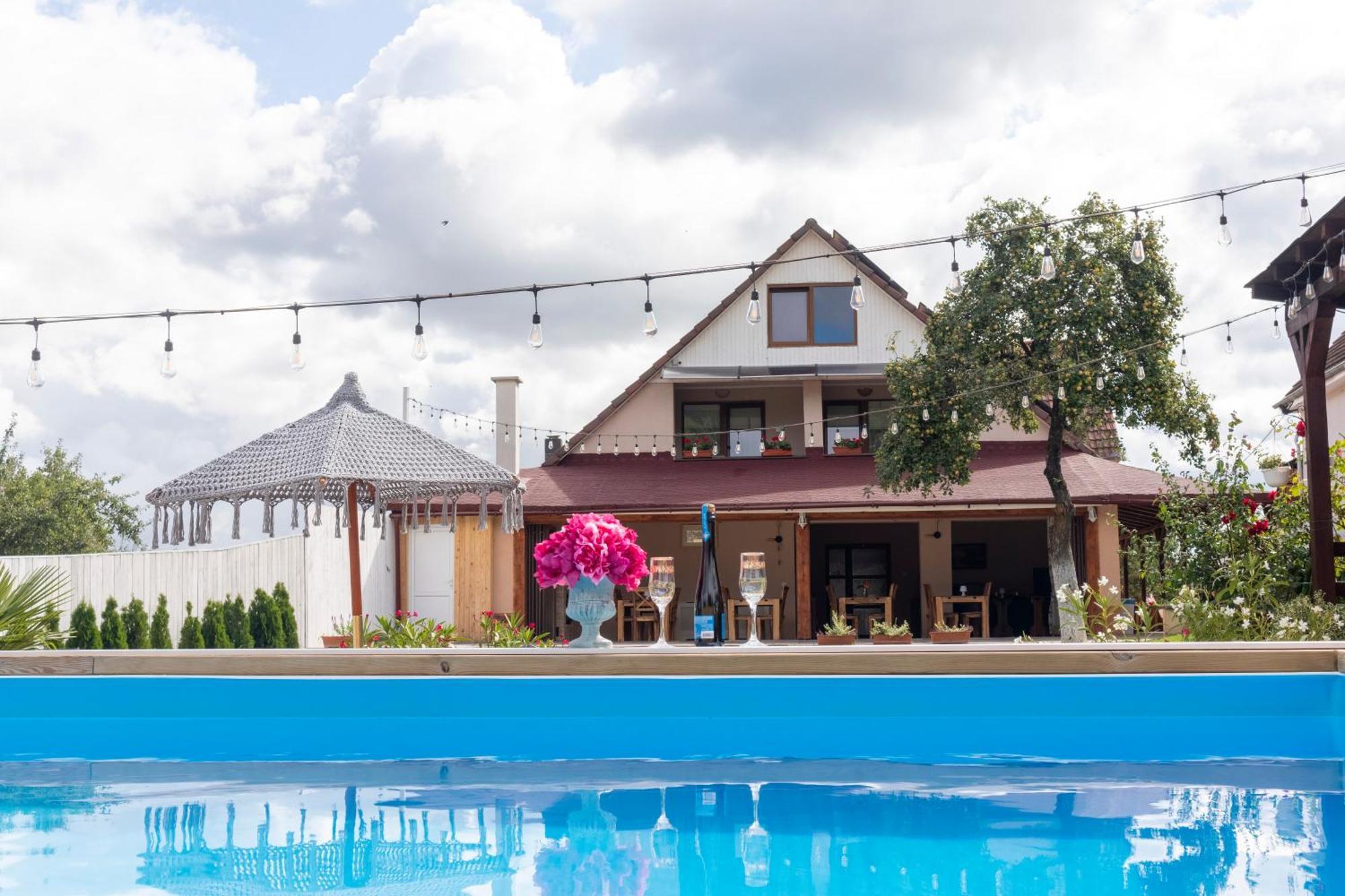 Готель Vila Crisalia Sibiel -Sibiu (Adults Only) Екстер'єр фото